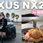 【vlog】新しい相棒レクサス NX 250に乗って糸島デート♡【LEXUS  】