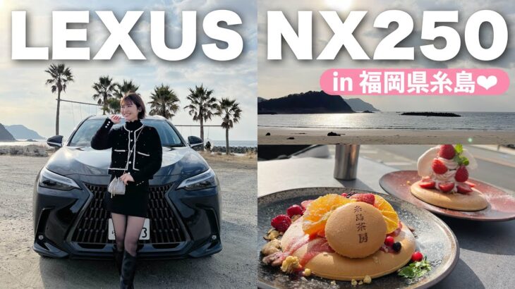 【vlog】新しい相棒レクサス NX 250に乗って糸島デート♡【LEXUS  】