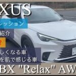 LEXUS LBX “Relax” AWD 内外装の紹介。燃費は? 試乗インプレッション。”Relax”と”Cool”どちらが好みか？オプション価格。
