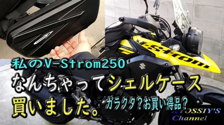 【SUZUKI V-Strom250】なんちゃって小シェルケースを買いました。（TEMU）