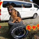 愛犬と車中泊用のキャラバン、DIYでタイヤ交換してみました