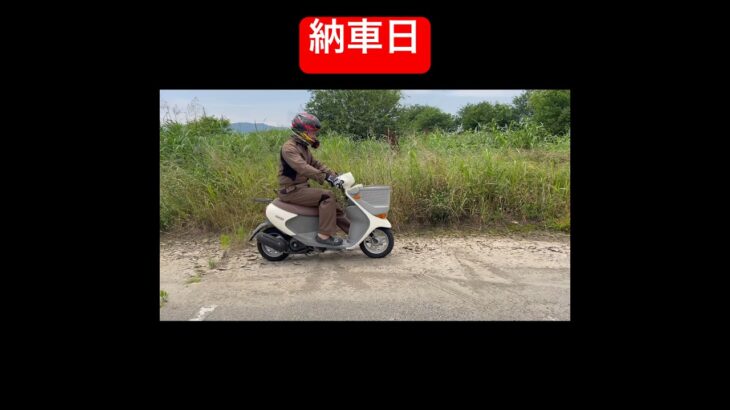 原付の納車日　#バイク #スクーター #50cc #レッツ4 #納車 #試乗動画 #suzuki #scooter #バイク #モトブログ