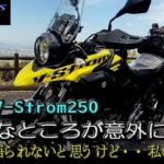 【SUZUKI V-Strom250】V-Strom250の目立たないこんなところの良さ！