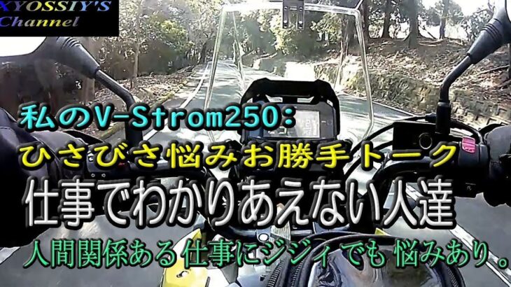 【SUZUKI V-Strom250】番外編ひさびさお勝手トーク：仕事の悩みでわかり合えない人たち。