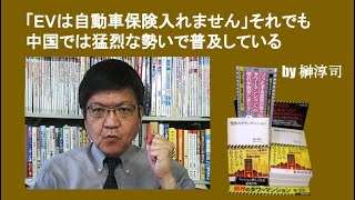 「EVは自動車保険入れません」それでも中国では猛烈な勢いで普及している　by榊淳司