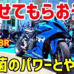 体中感じる鈴菌の感染力。　GSX-8Rを試乗してきました。楽しすぎて一瞬で終わったわ～。　憧れの君と楽しい君で悩んじゃう！