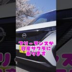 フリーランスが日産サクラに試乗してみた　#ev #電気自動車 #さくら #サクラ