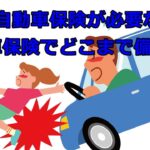 なぜ自動車保険が必要なの？ 自動車保険でどこまで備えればよいの？