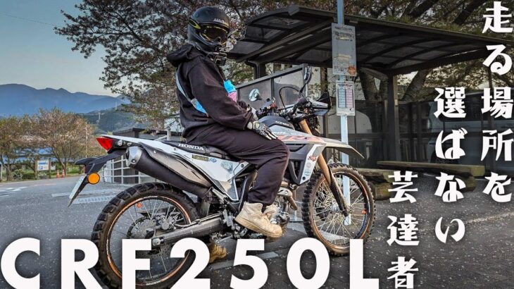 【 試乗 】走る場所を選ばない芸達者！ HONDA CRF250L