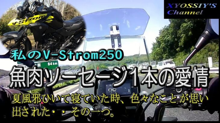 【SUZUKI V-Strom250】魚肉ソーセージ1本の愛情。体調崩して昔の回顧。
