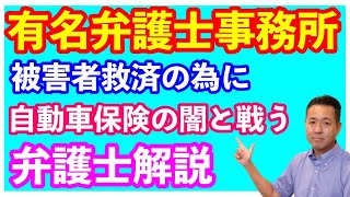 自動車保険の闇と戦う！？　有名法律事務所コラボ動画   中西博亮（東京弁護士会所属）登場　Vol.1