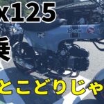 【試乗Dax125】このバイクいいとこ取りじゃね！CT125ハンターカブ乗りが試乗