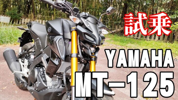 MT-125（ヤマハ）試乗インプレッション。色々乗ったけど、これ、めっちゃ良かった！