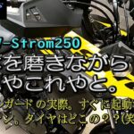 【SUZUKI V-Strom250】Vstrom250を磨きながらいくつか車体の感想を・・・。（ナックルガード、タイヤ、冷却ファン、汚れ溜まり）