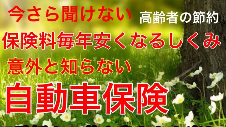 【60代年金生活：自動車保険】高齢者の節約術。保険料のランク制度で安くなります。安全運転が重要です。#自動車保険＃年金生活＃60代#女一人暮らし＃節約＃シニア＃貧乏#年金暮らし#高齢#女ブログ