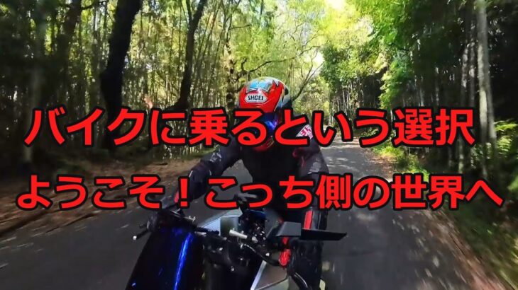 バイク乗りという生き方 わが人生に一片の悔いなし！【SUZUKI スズキ 新型カタナ 試乗 インプレ カスタム 改造 ヨシムラ セパハン テール バックステップ 三ヶ根 ツーリング ヤエー】