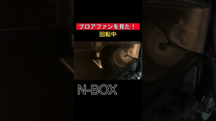 【カーメンテナンス】ブロアファンの回転中になんか落ちた？NBOXエアコンフィルター交換#NBOX#カーエアコン#軽自動車