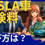 テスラ車の保険。選び方は？