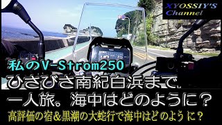 【SUZUKI V-Strom250】ひさびさ南紀白浜まで一人旅。シュノーケリングでサンゴの様子を見てきました。