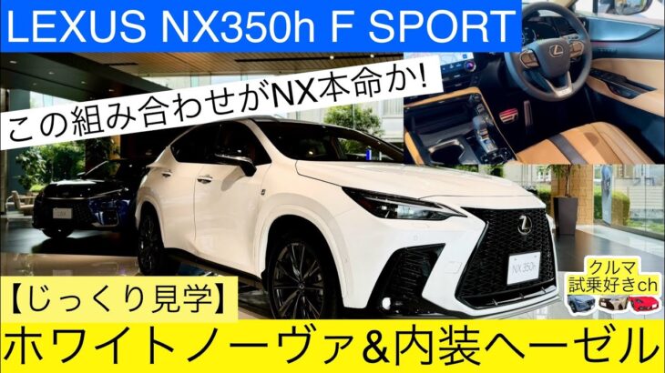 ［LEXUS NX本命モデル］年次改良レクサス新型NX350h Fスポーツの内装ヘーゼルと外装ホワイトノーヴァをじっくり見学(NX350h Fsport White & hazel color)