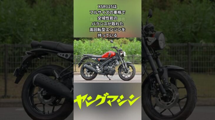 原付二種 ヤマハXSR125とホンダ モンキー125は同時に乗ると何が違う?【試乗インプレ】#バイク #honda #yamaha