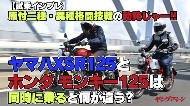 【試乗インプレ】原付二種・異種格闘技戦の勃発じゃー!! ヤマハXSR125とホンダ モンキー125は同時に乗ると何が違う?