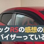 【CIVIC/RS】シビックRS試乗した人の感想について感想を語ります。新車購入時に取り付けるドアバイザーって本当にいるのかな？【シビック/6MT】