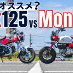 モンキー125とダックス125どっちがオススメ？ホンダの大人気原付二種を比較試乗した結果