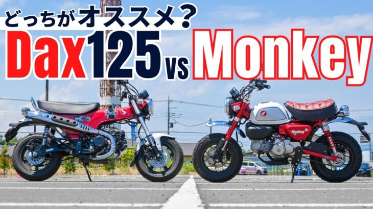 モンキー125とダックス125どっちがオススメ？ホンダの大人気原付二種を比較試乗した結果