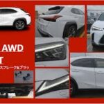 LEXUS　UX300h AWD F SPORTホワイトノーヴァガラスフレーク&ブラック試乗しました。コメントなしです。＃LEXUS　＃UX300h　＃AWD F SPORT