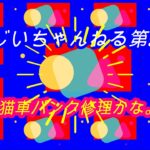 🐱🚙車パンク修理→ノーパンクタイヤに交換！お得感あり！🐱車ド田舎の耕作放棄地に搬入する。見てね！第５６６話👏👍🔔🎁👌🙏🎄🎄🎄🎄🎄