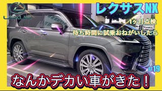 【レクサスNX】新車購入１ヶ月点検・待ち時間に試乗お願いしたらドデカい車が準備されていた【レクサスLX600 エグゼクティブ】後席のVIP感ハンパない！【19】