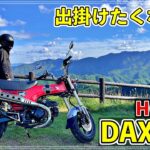 【増車候補】HONDA DAX125に試乗したらめっちゃ乗りやすくて可愛いバイクだった【原付二種】