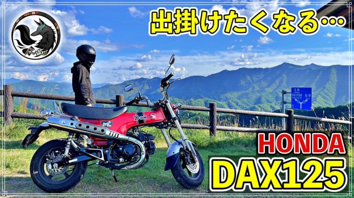 【増車候補】HONDA DAX125に試乗したらめっちゃ乗りやすくて可愛いバイクだった【原付二種】