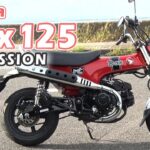 【HONDA DAX125】 バイク試乗インプレッション