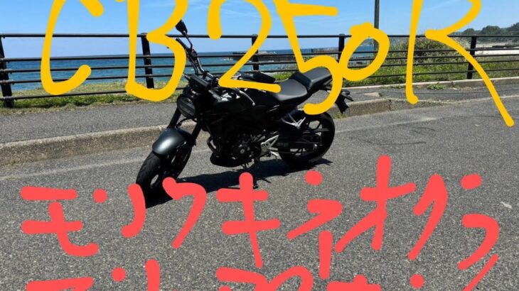 CB250R  マフラー交換初試乗 パルス！