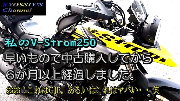 【SUZUKI V-Strom250】中古購入してから6か月以上経過しました。