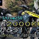 【SUZUKI V-Strom250】登録者2000名様ありがとう＆今一番気になっていること。あたらしいオチクワを食べてはいけない！