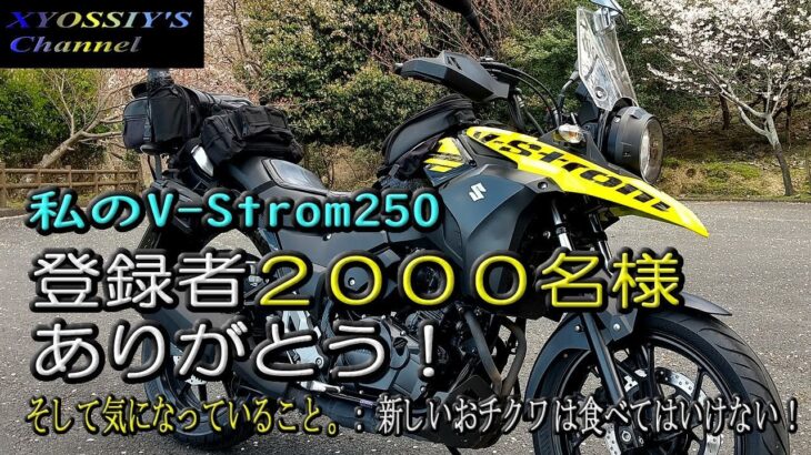 【SUZUKI V-Strom250】登録者2000名様ありがとう＆今一番気になっていること。あたらしいオチクワを食べてはいけない！