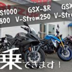 【スズキ】試乗車のご案内＆セール情報