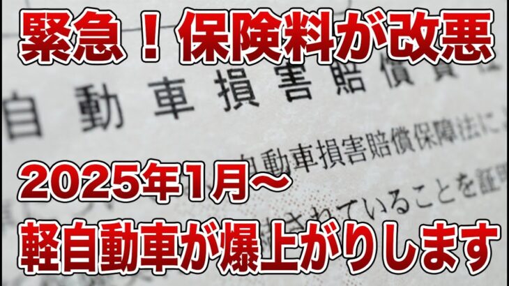 保険料率改訂を徹底解説！軽自動車の維持費が大変なことに！？【ゆっくり解説】