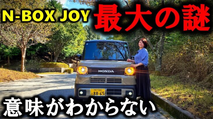 【ミステリー】N-BOX JOY史上最大の謎!何故こうなった?真相解明求む!【Honda N-BOX JOY Exterior & Interior】エヌボックスジョイ