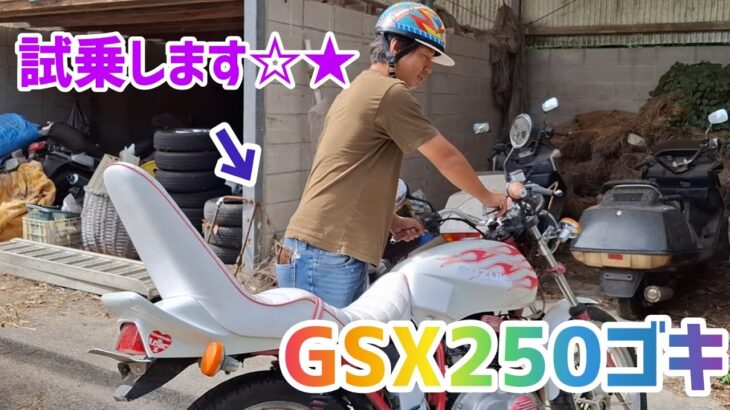 GSX250ゴキに試乗してみた☆