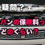 【自動車保険】ラパンの保険料ってどのくらいなの？♯ラパン♯自動車保険♯軽自動車