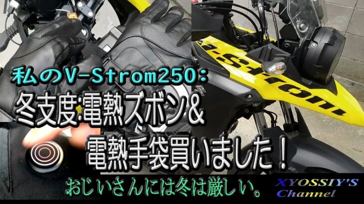 【SUZUKI V-Strom250】冬対策：電熱ズボンと手袋TEMUで買いました。