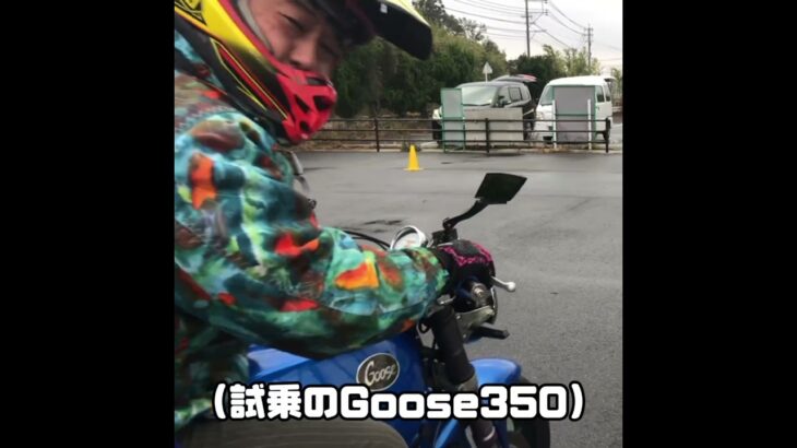 グース350を試乗したとき #goose #suzuki #試乗動画 #バイク #モトブログ