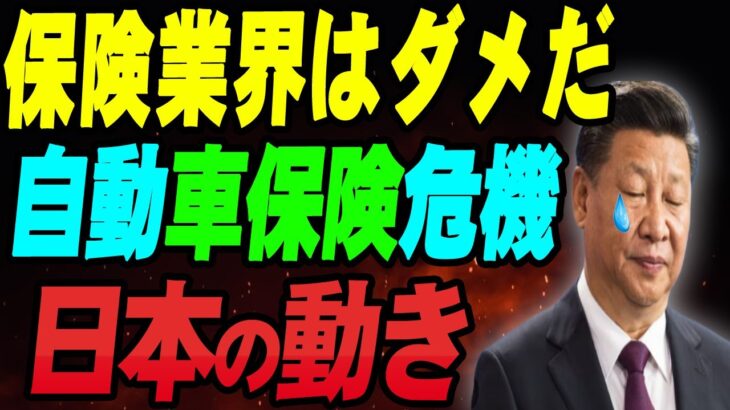 中国の保険業界は混乱に陥っている。新エネルギー自動車保険はダメ、農業保険は抜け穴だらけ…。日本はどのような行動をとるのでしょうか？