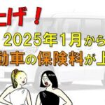 【値上げ】2025年1月から軽自動車の保険料が上がる？