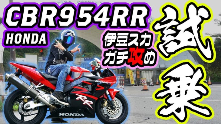 【Honda CBR954RR】試乗！CBR史上最軽量のバイクで伊豆スカをガチ攻め！【DZR】