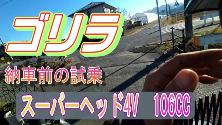 ホンダ　ゴリラボアアップ　106CC　試乗　武川スーパーヘッド4V